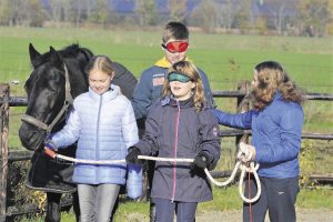 Uw zoon /dochter ook Kracht putten uit Pony Power?