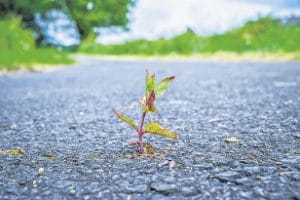 Groen asfalt op Groninger wegen